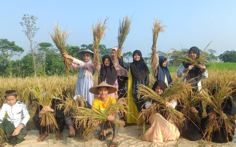 Pembedayaan Ekonomi Sosial